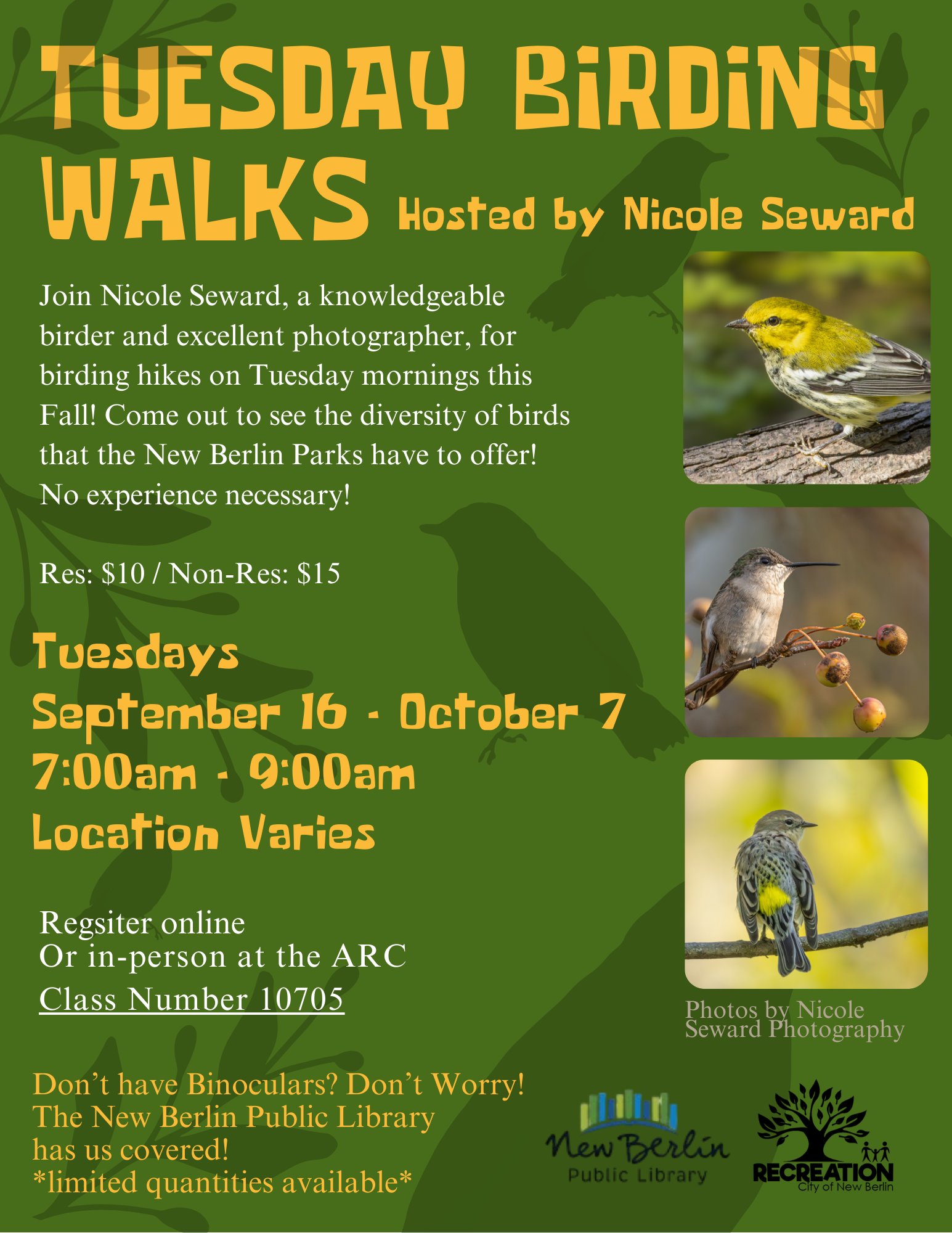 Olive Green Yellow Birdwatching Tour Flyer in Bright Typography in Natural Style