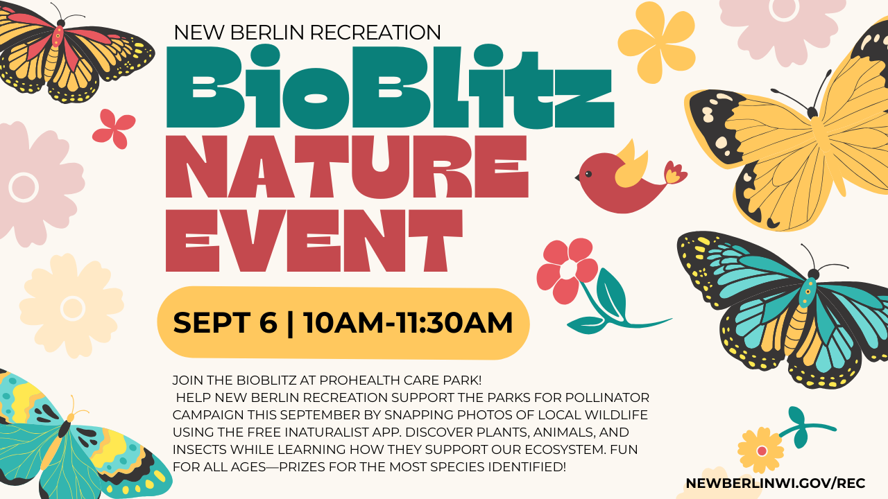 Organic Summer Sale Flyer (YouTube Thumbnail)